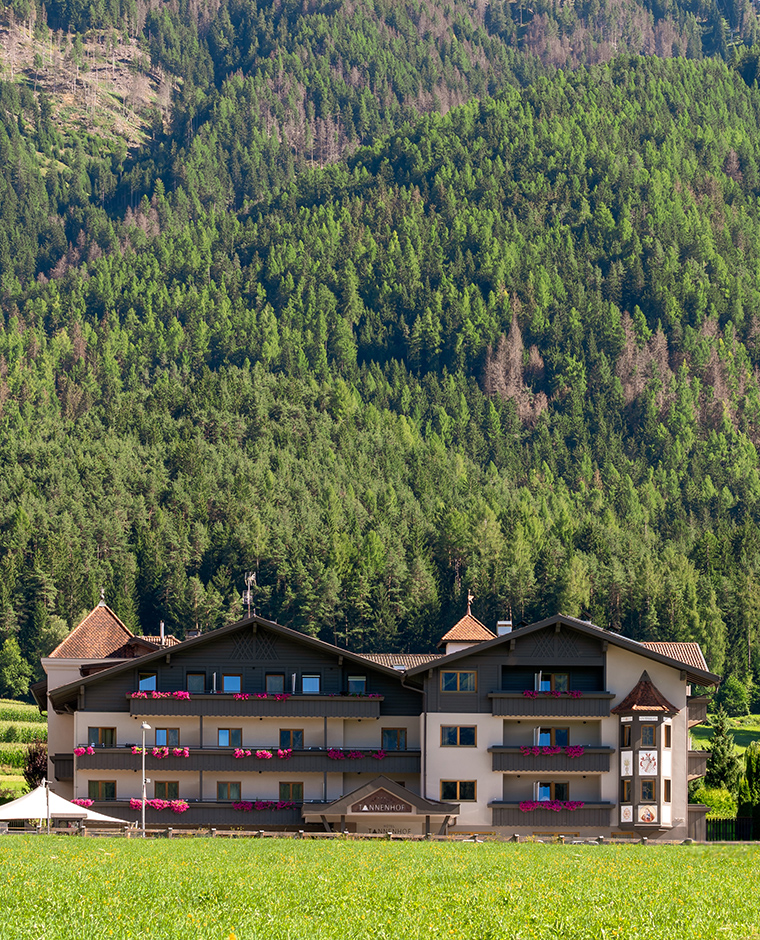 Das Hotel Tannenhof in Reischach am Kronplatz, umgeben von grünen Wiesen und einem dichten Wald.