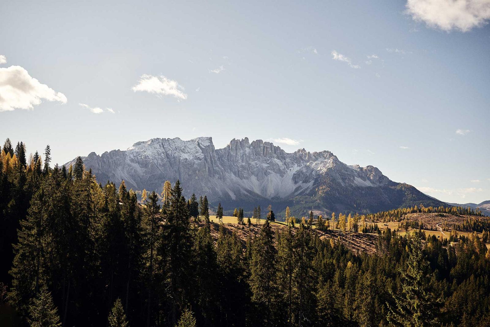 Bus Backplates IDM Mobilitaet 0001